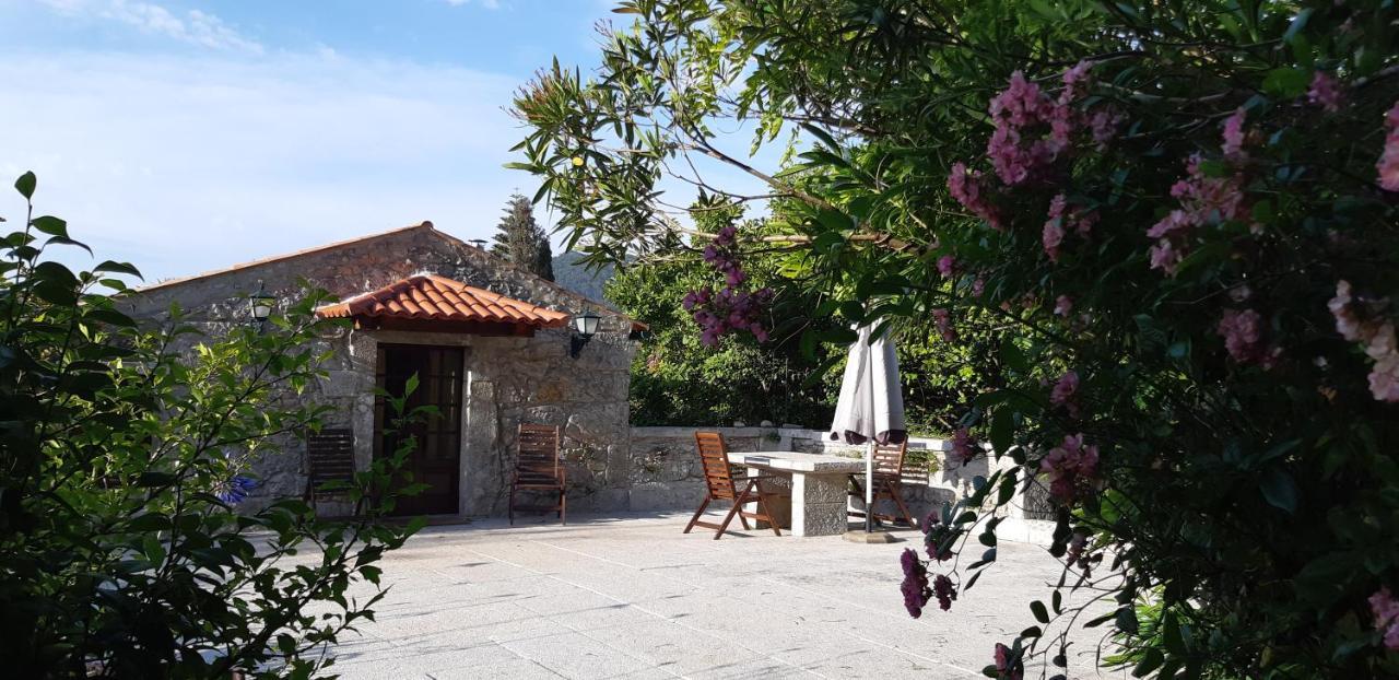 Casa Do General Villa Afife Exterior photo
